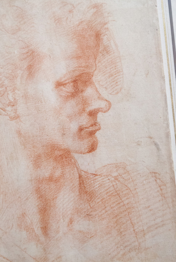 mirena-rhee-michelangelo-drawings-at-the-met_11