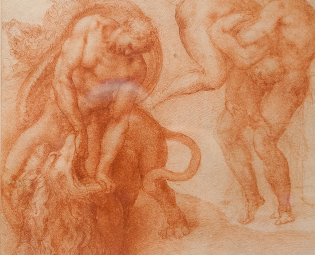 mirena-rhee-michelangelo-drawings-at-the-met_15