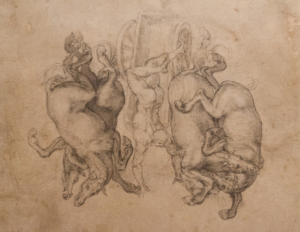 mirena-rhee-michelangelo-drawings-at-the-met_16