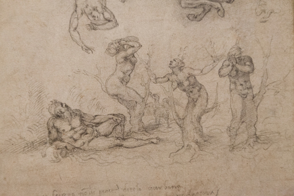 mirena-rhee-michelangelo-drawings-at-the-met_19